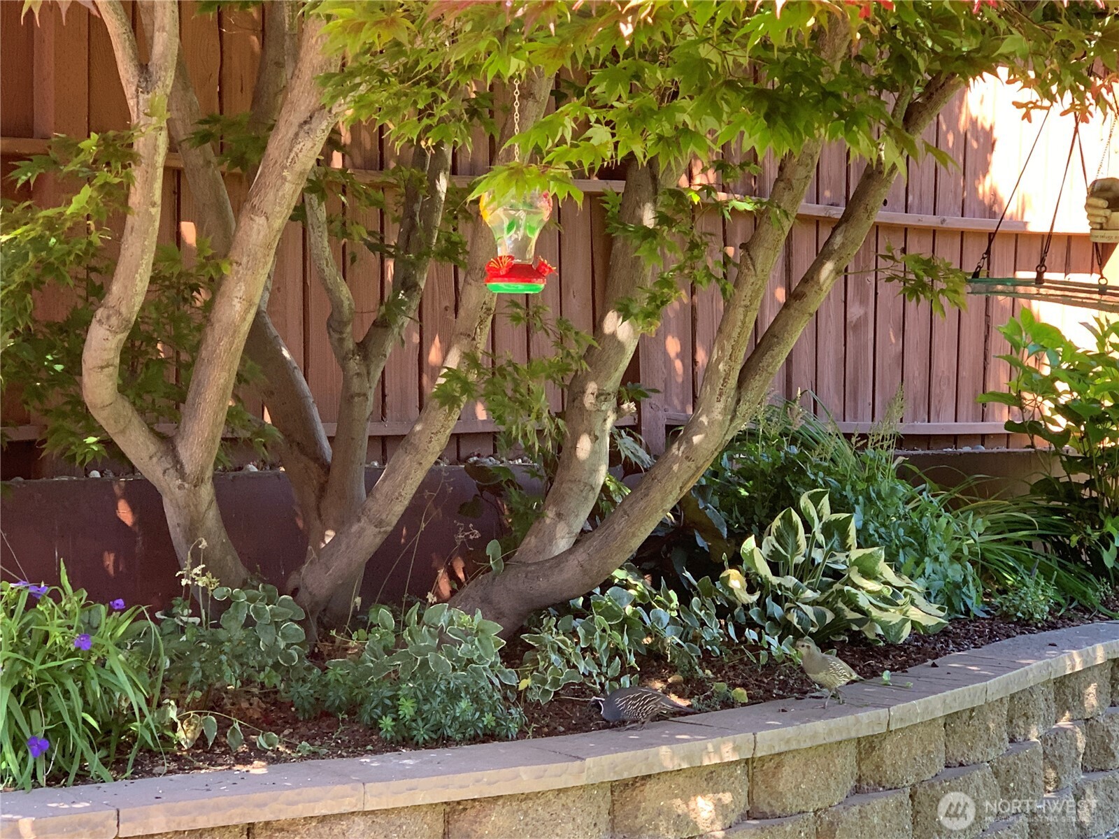 1504 Fuller Street Wenatchee, WA 98801 - Photo 38 of 38 a view of statue in a garden