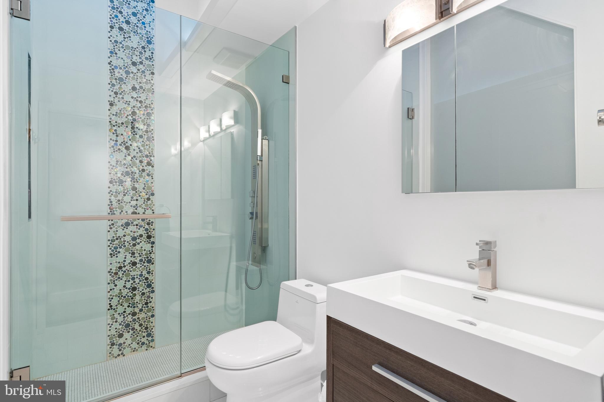 3222 Cherry Hill Lane, Unit A2 Washington, DC 20007 - Photo 13 of 22 Second bathroom