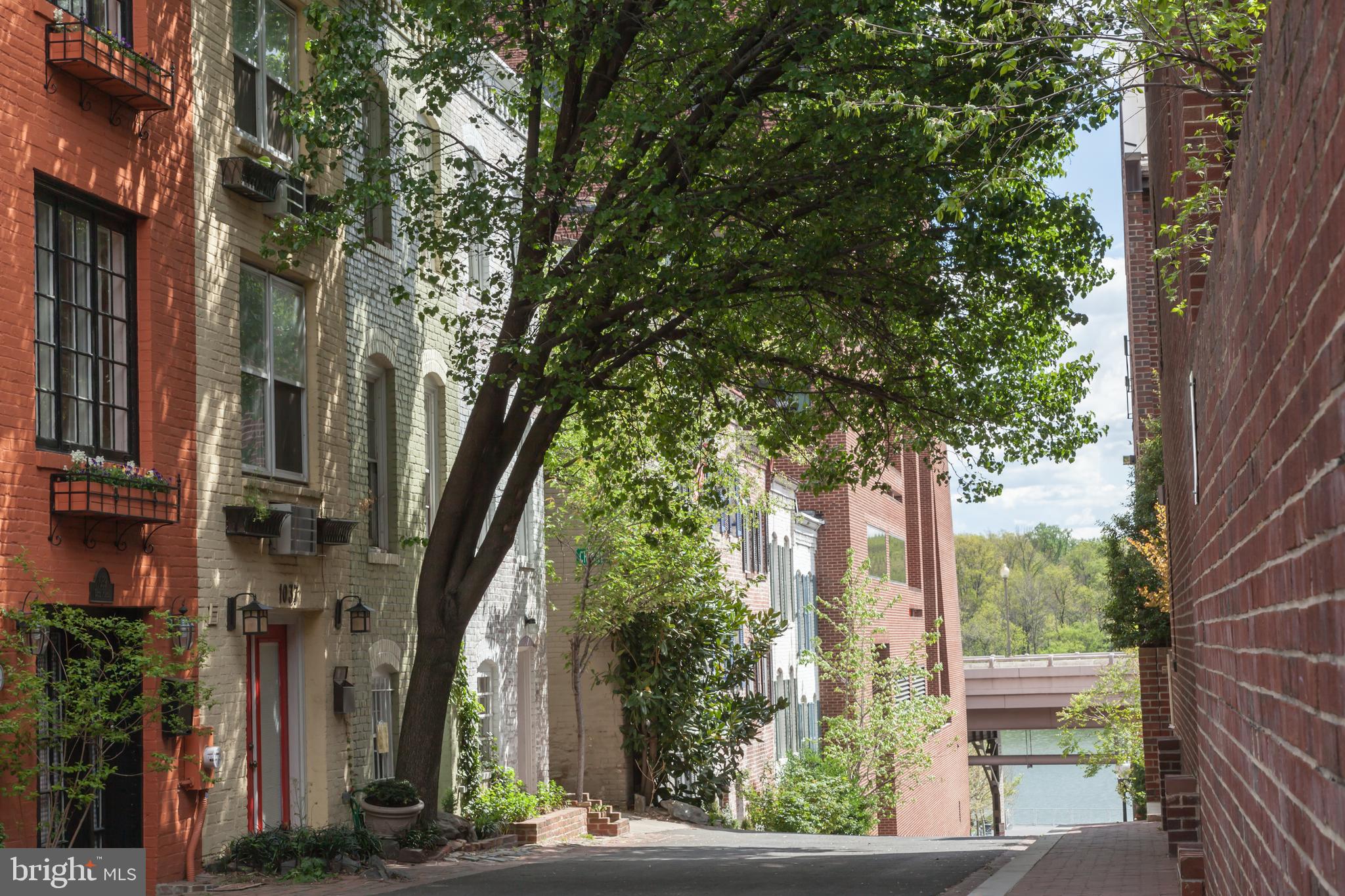 3222 Cherry Hill Lane, Unit A2 Washington, DC 20007 - Photo 17 of 22 Community