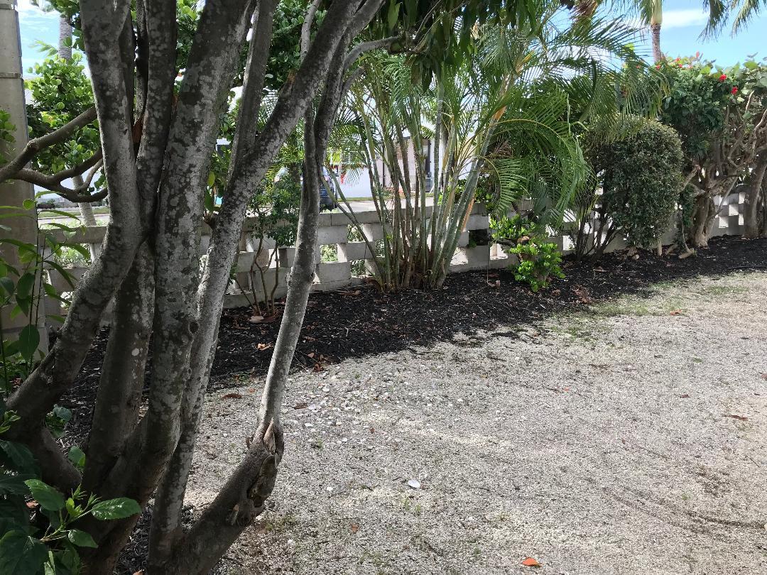 28 Douglas Drive Ocean Ridge, FL 33435 - Photo 9 of 18 backyard