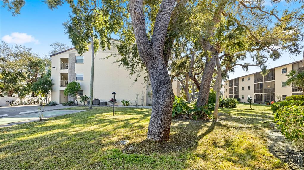 2300 Stickney Point Road, Unit 102 Sarasota, FL 34231 - Photo 22 of 32 a view of a swimming pool and trees in the background
