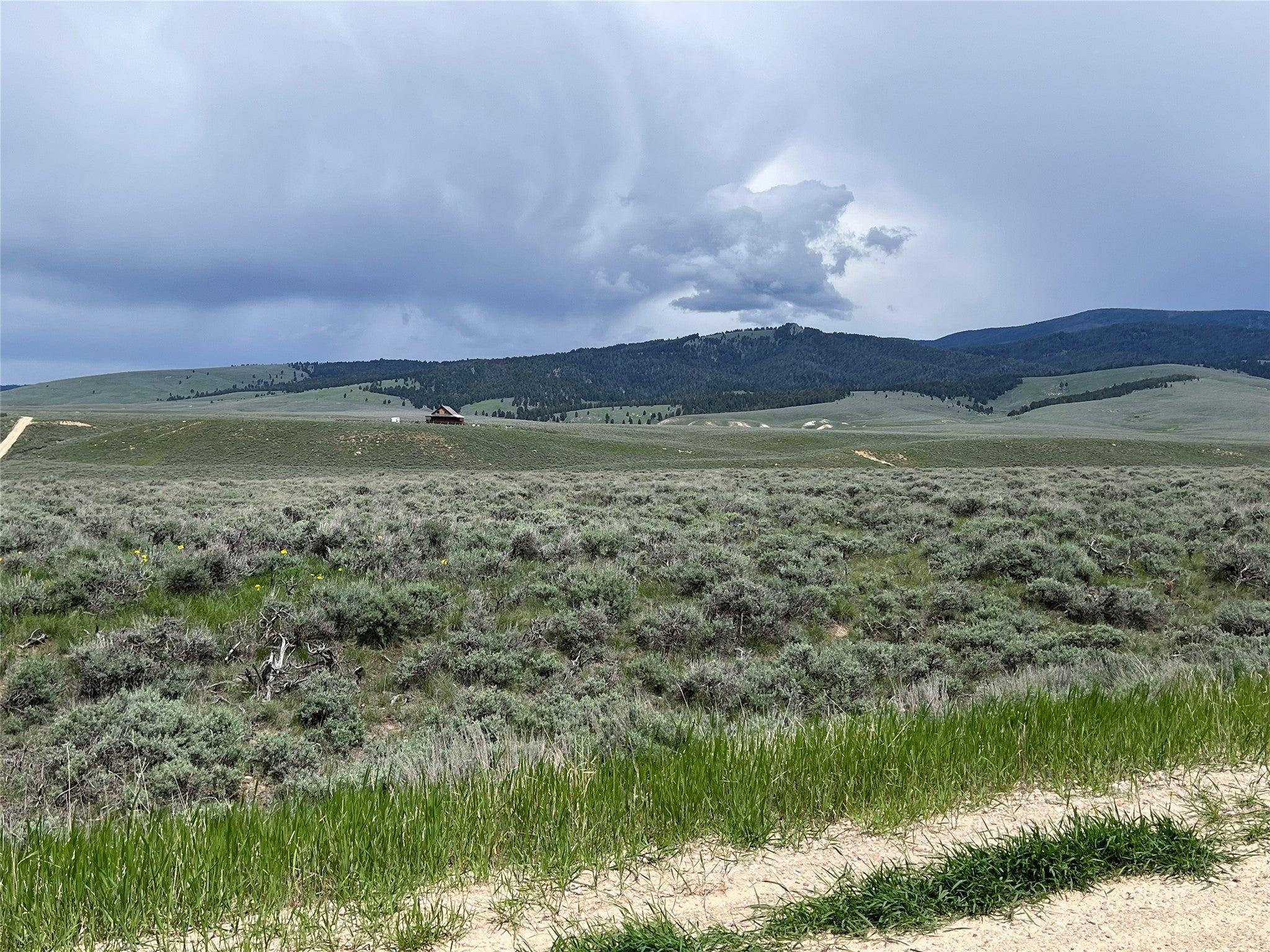 11 Steel Creek Road Wisdom, MT 59761 - Photo 10 of 11 Gallery Image 10