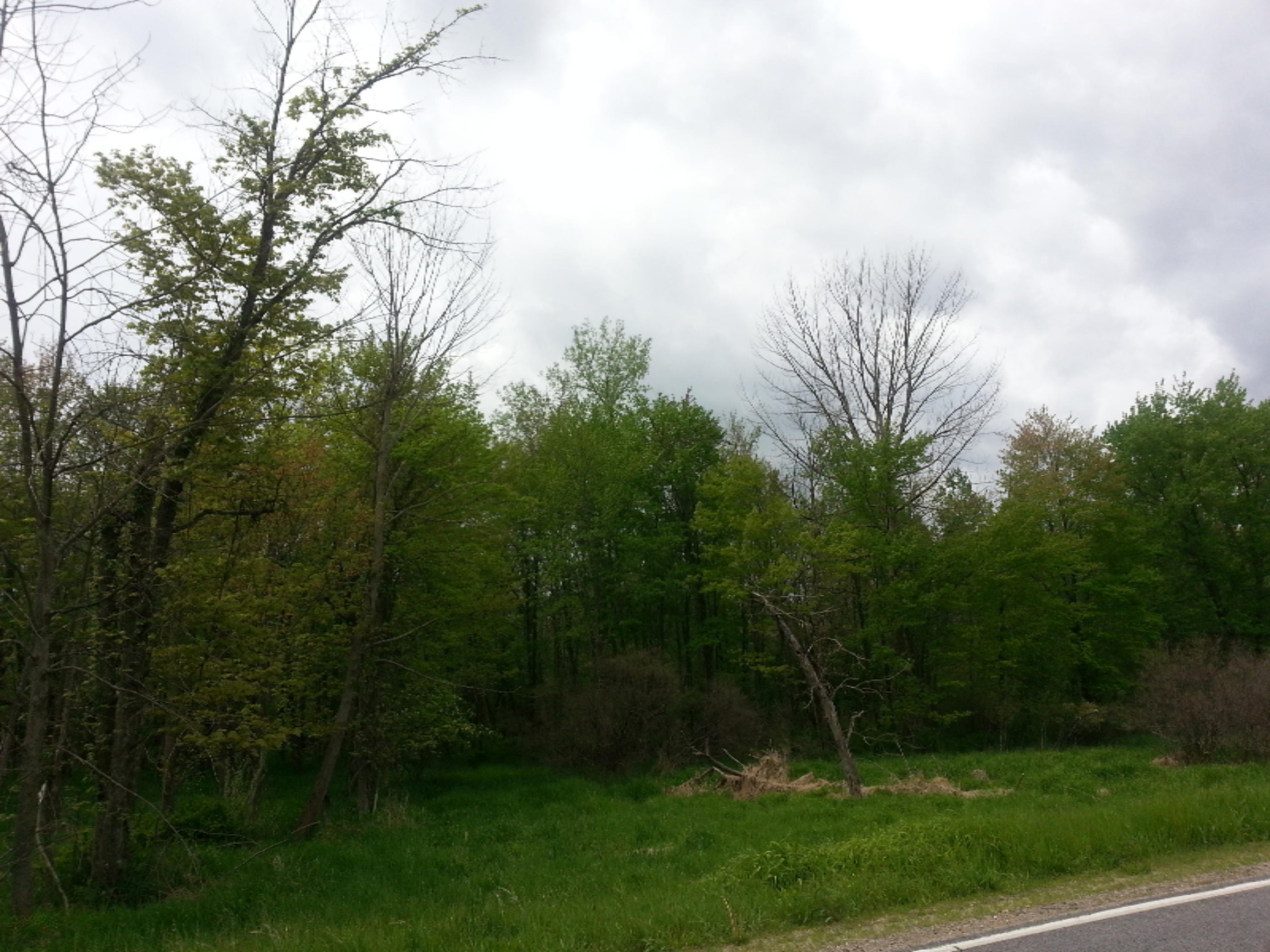 Vl West Sidney Road Sidney, MI 48885 - Photo 1 of 9 20170523_122942