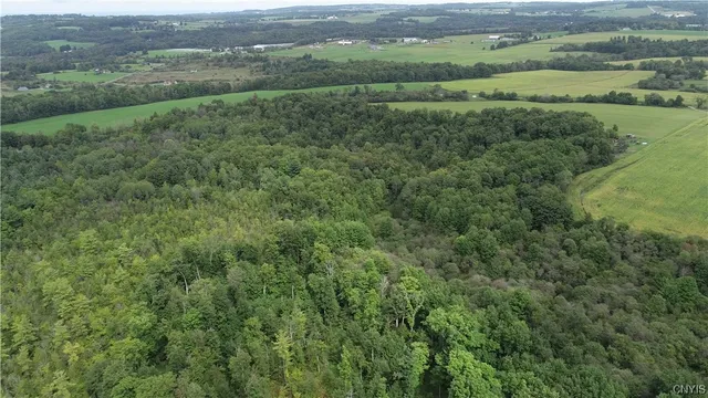 $1,750,000 | 2349 Fenner Road, Cazenovia, NY 13035