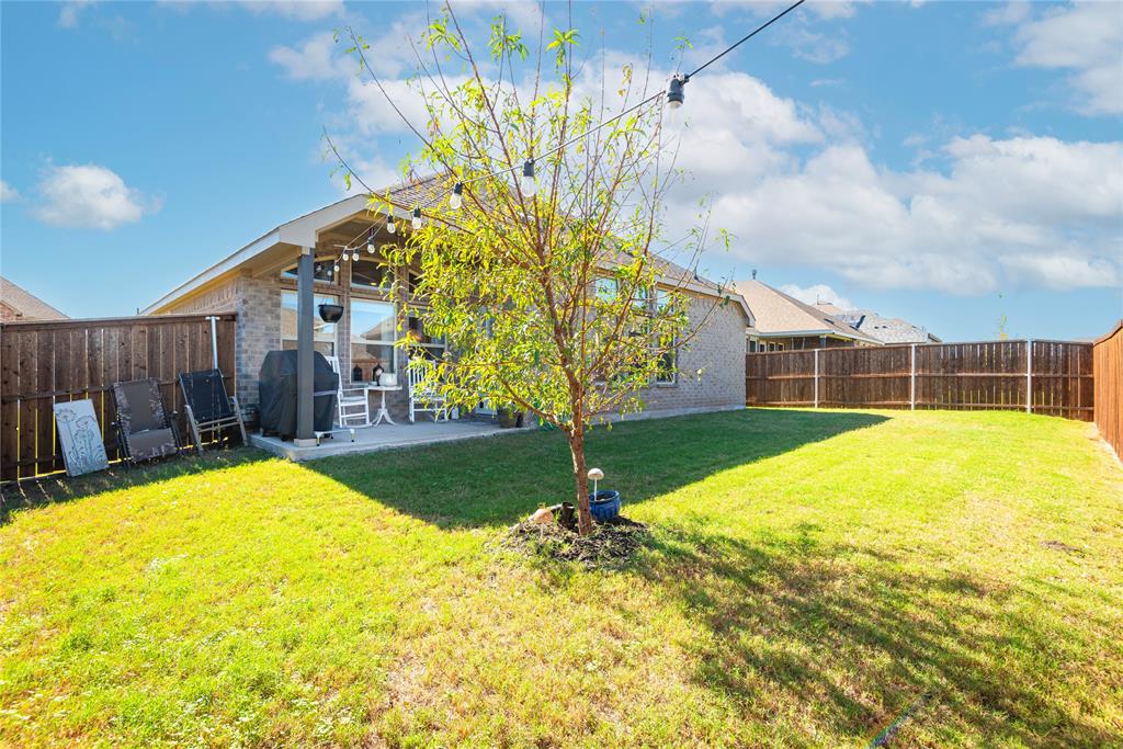 1229 Sunbeam Cove Anna, TX 75409 - Photo 30 of 36 Big backyard