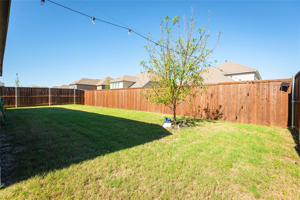 1229 Sunbeam Cove Anna, TX 75409 - Photo 32 of 36 Room to run