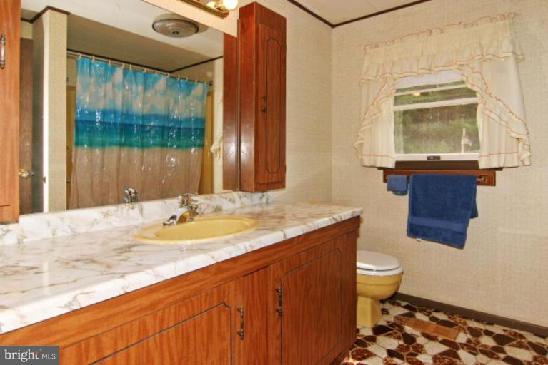 4815 Buffalo Road Mount Airy, MD 21771 - Photo 15 of 19 a bathroom with a toilet sink and mirror