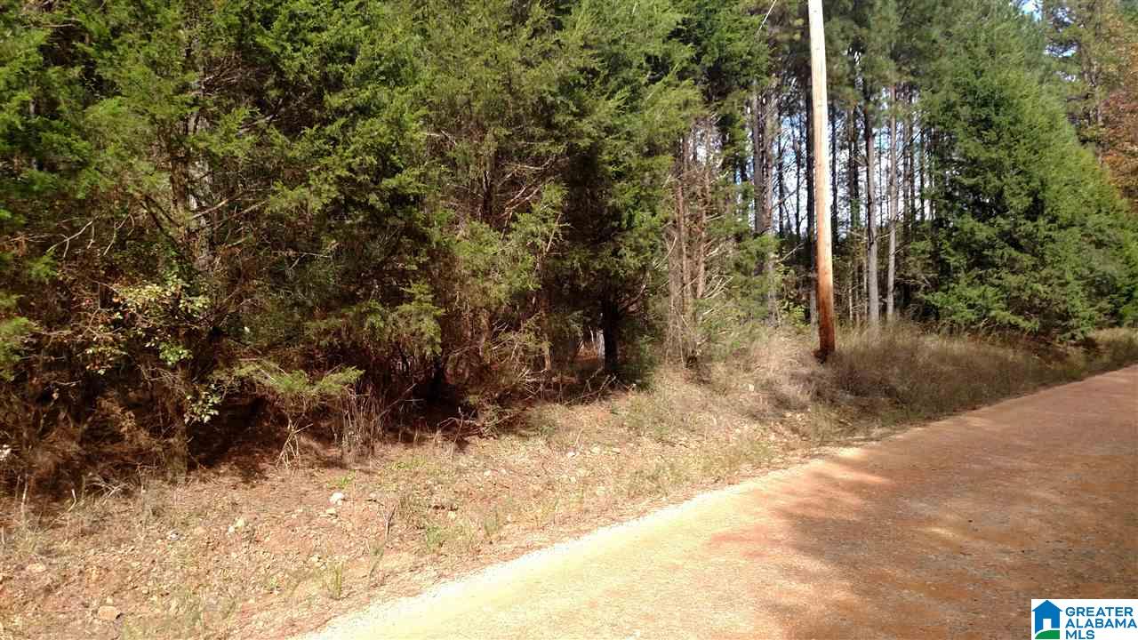 0 Cook Road, Unit 2 Equality, AL 36026 - Photo 3 of 5