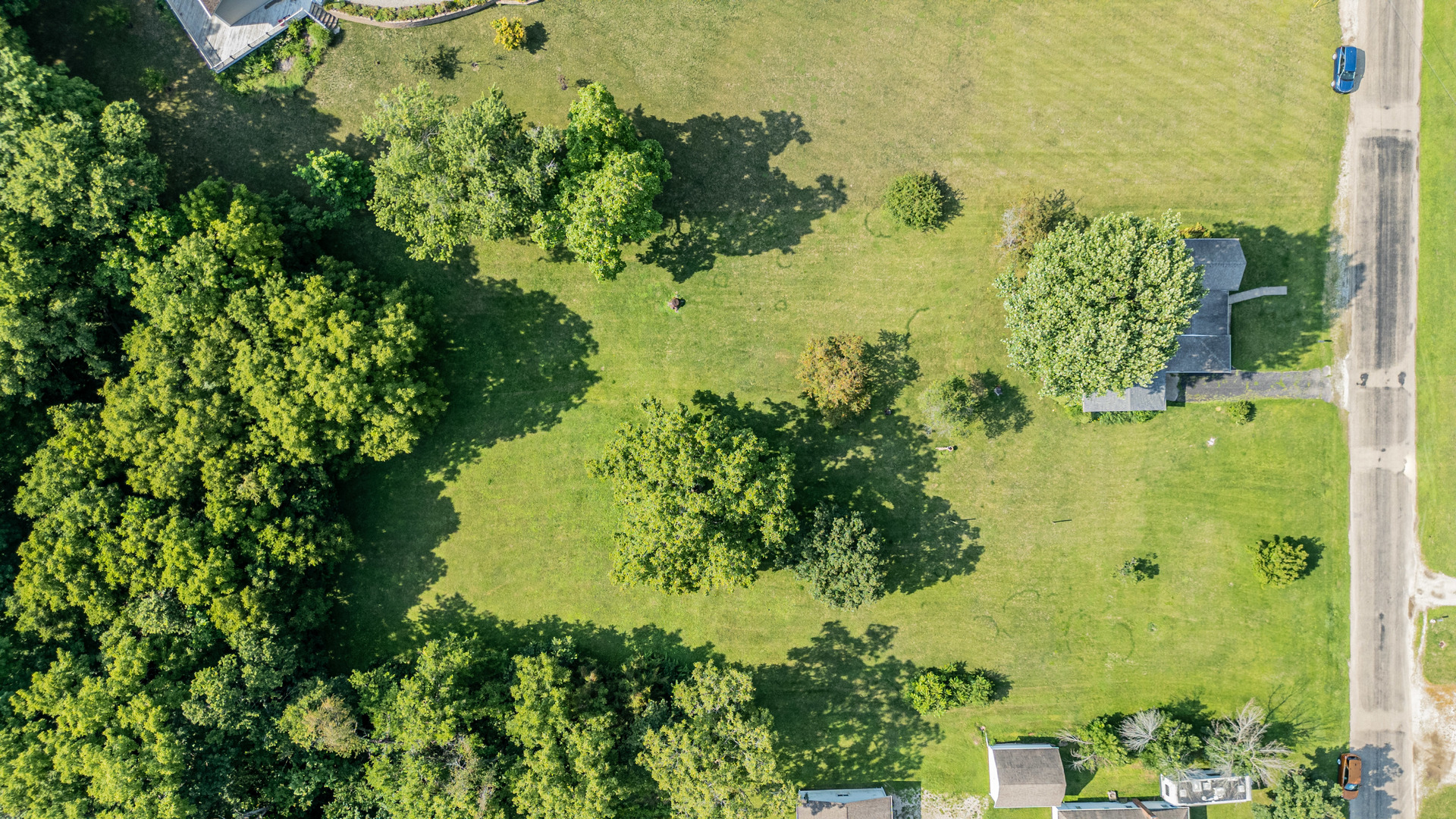 421 South Reed Street Sheffield, IL 61361 - Photo 4 of 28 a view of a garden