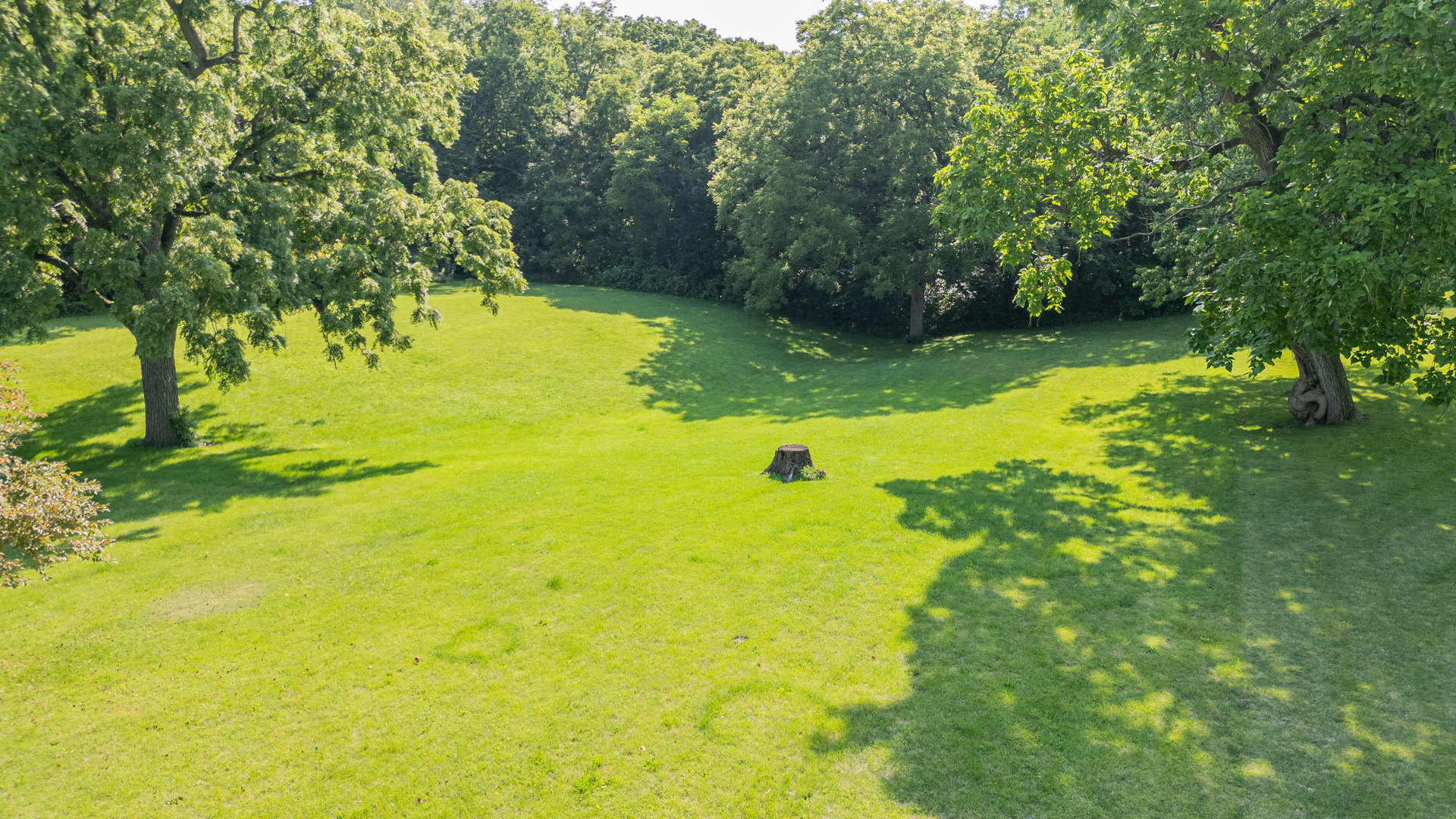 421 South Reed Street Sheffield, IL 61361 - Photo 7 of 28 a view of yard with green space