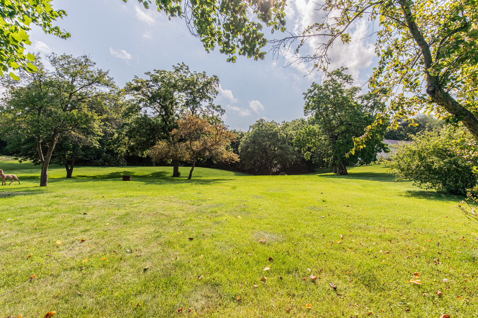 421 South Reed Street Sheffield, IL 61361 - Photo 8 of 28 a view of a park with large trees