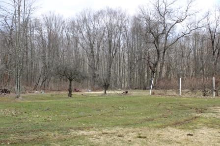 1765 Dempseytown Greshem Road Titusville, PA 16354 - Photo 7 of 13 Gallery Image 7