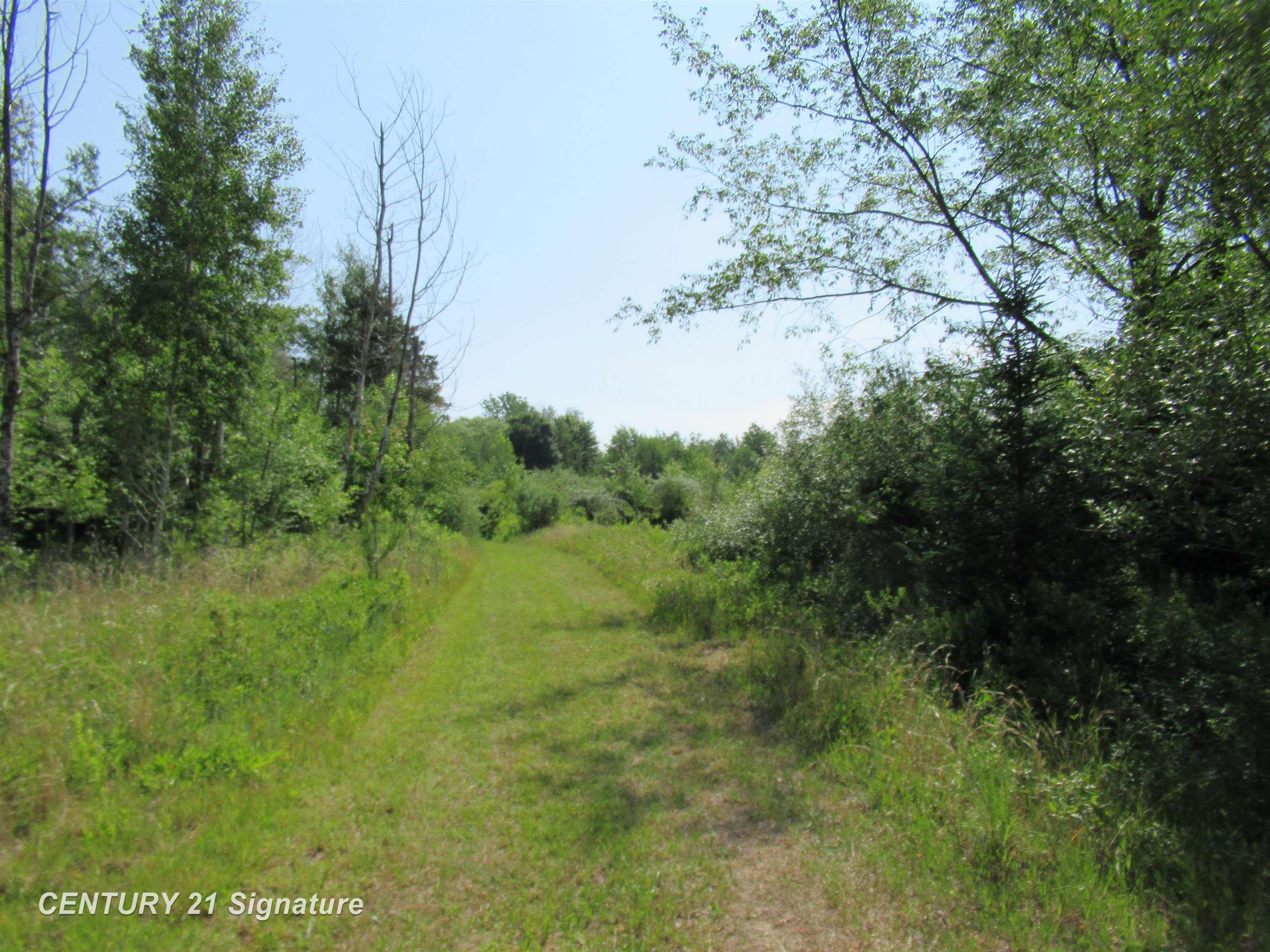 5224 Lobdell Road Mayville, MI 48744 - Photo 33 of 37 Gallery Image 33