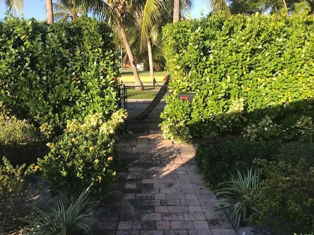 a pathway of a yard