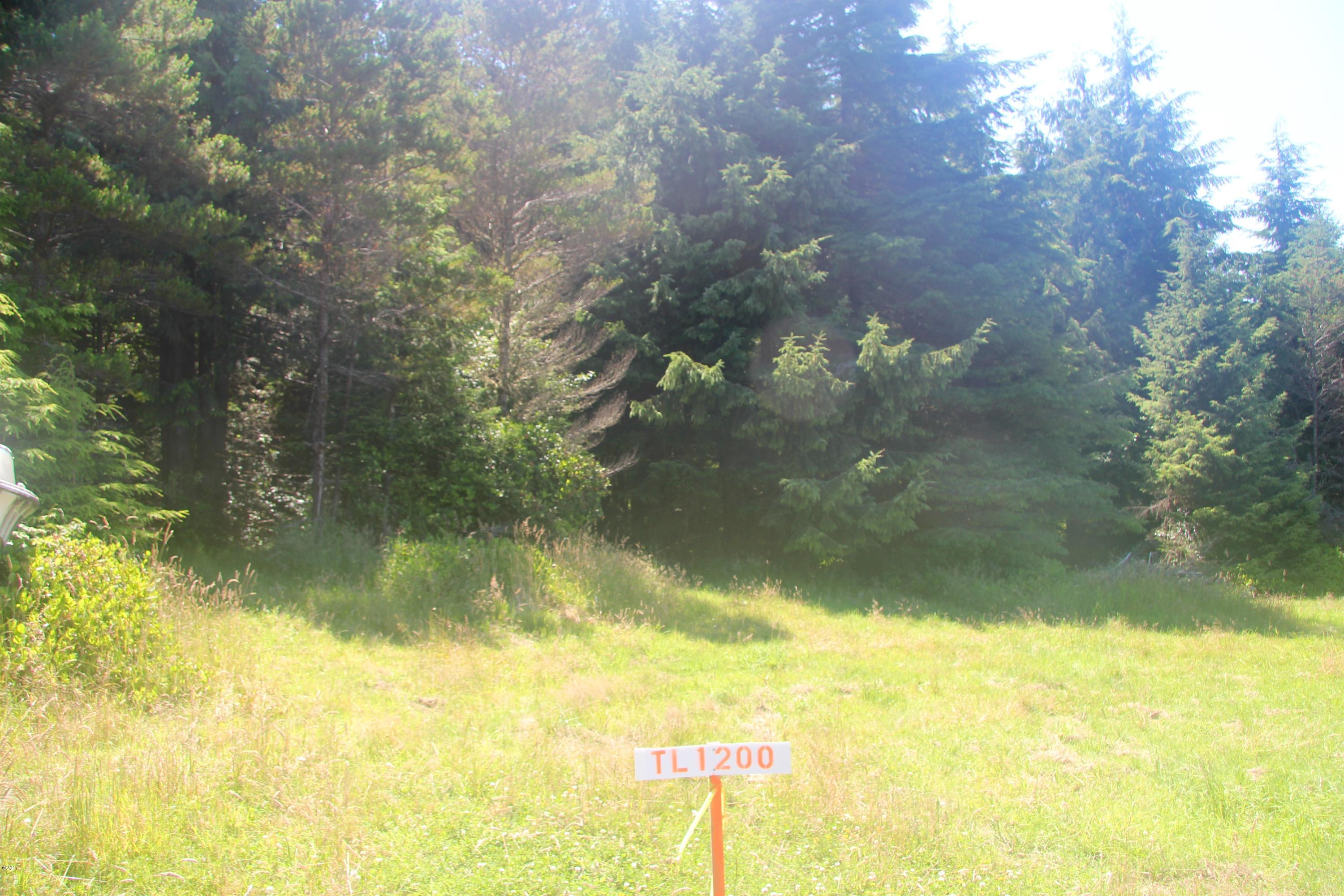1200 Wakonda Beach Road Waldport, OR 97394 - Photo 1 of 2 Lot 1200