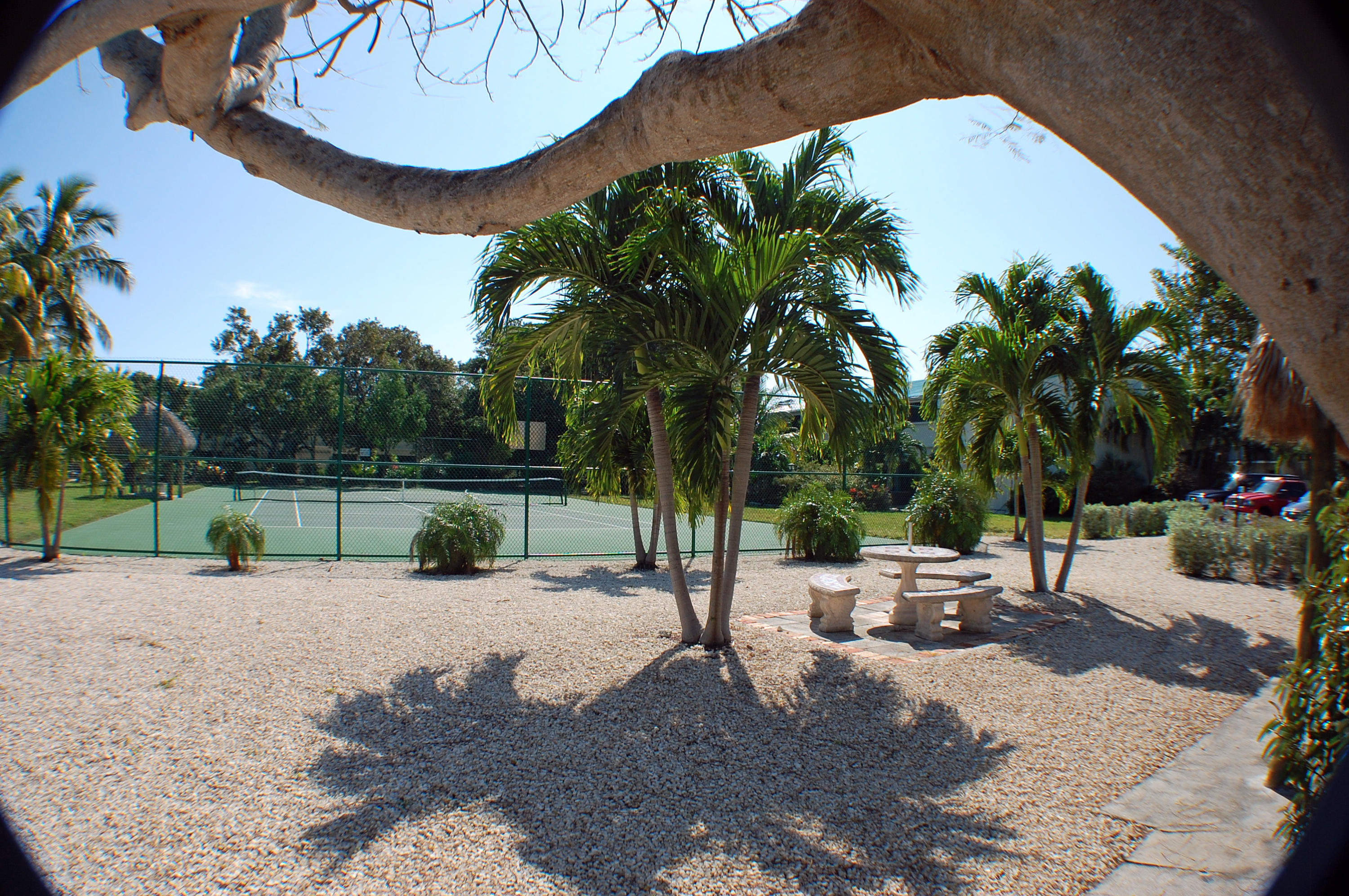 87200 Overseas Highway, Unit E8 Islamorada, FL 33036 - Photo 54 of 64 Tennis!