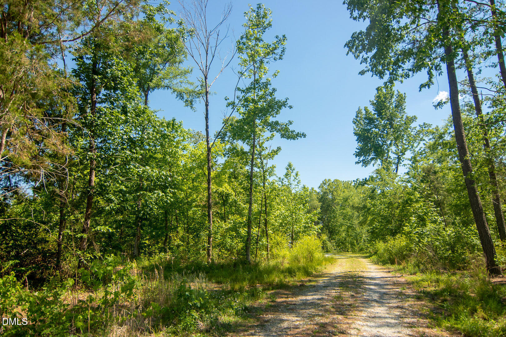 201 Briggs Road Hurdle Mills, NC 27541 - Photo 35 of 43