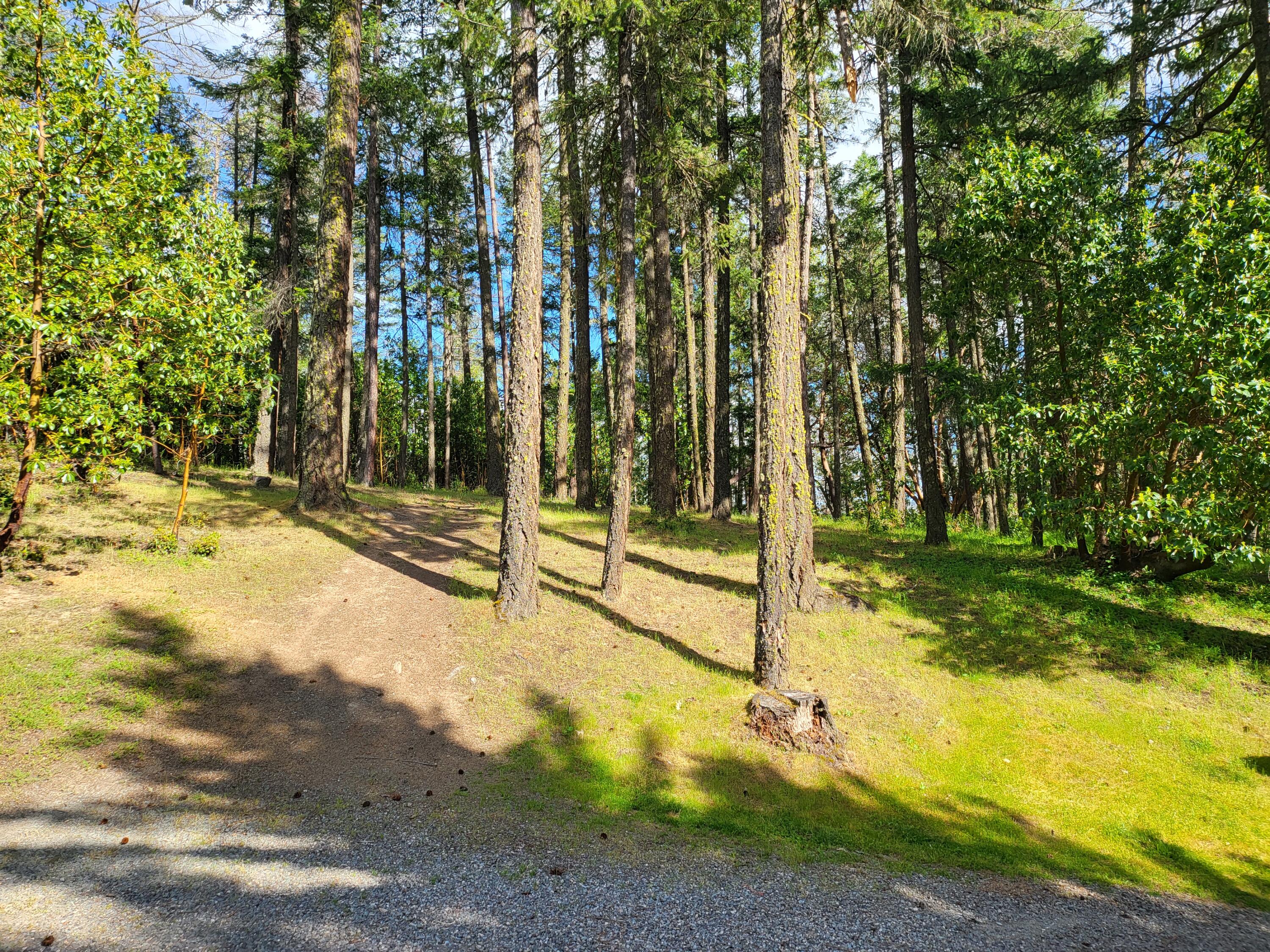 6041 Sterling Creek Road Jacksonville, OR 97530 - Photo 29 of 43 20250522_172222