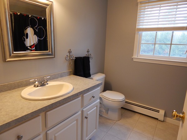 12 Azel Road Freetown, MA 02717 - Photo 19 of 30 a bathroom with a toilet a sink and mirror