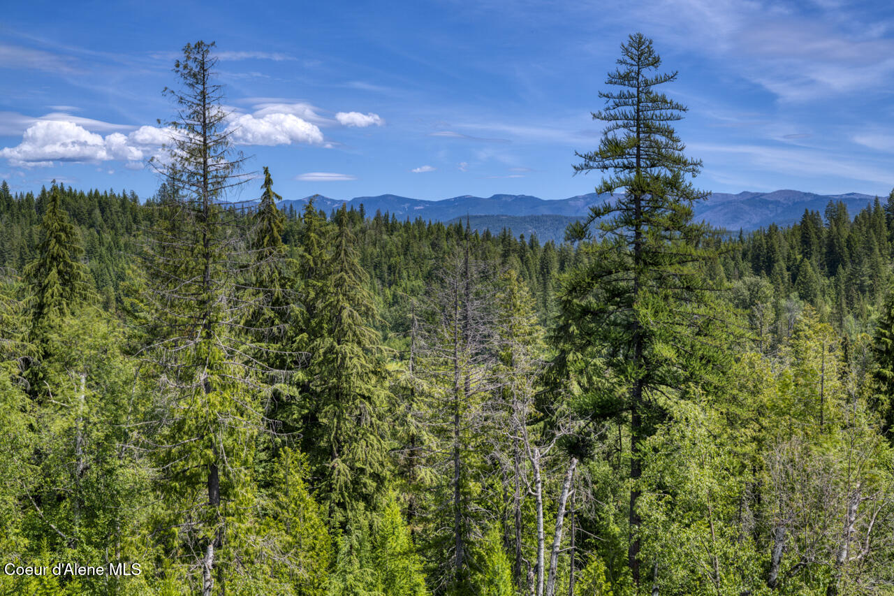 1356 Hidden Valley Road Sandpoint, ID 83864 - Photo 15 of 18 .