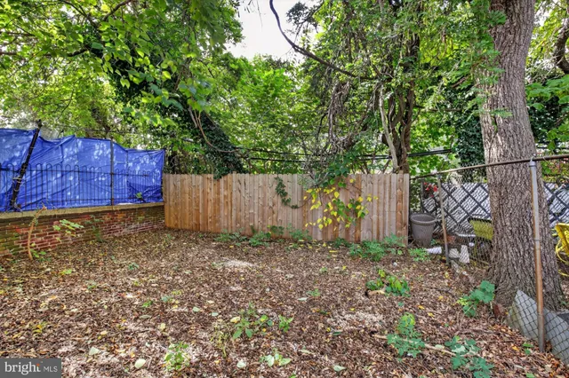a view of a backyard with wooden fence and a large tree
