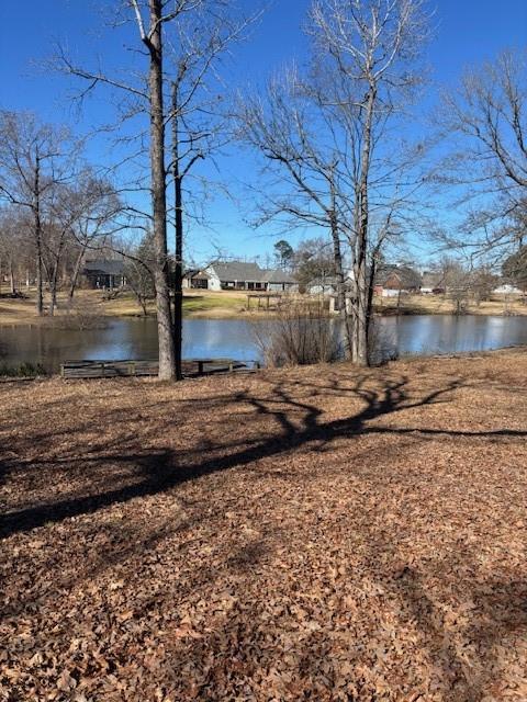 184 Hall Road Stonewall, LA 71078 - Photo 27 of 30