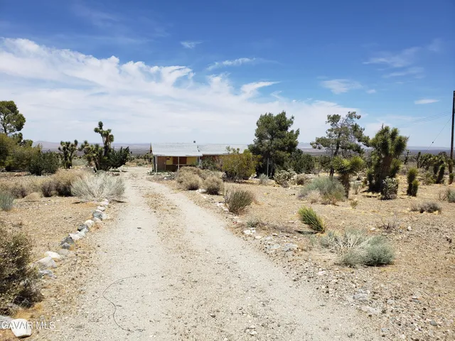 a view of a dry yard with trees