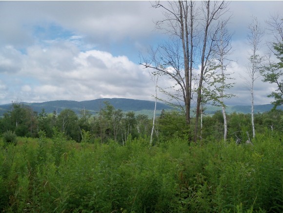 321 Hedgehog Hill Road South Mount Holly, VT 05730 - Photo 1 of 16 Gallery Image 1
