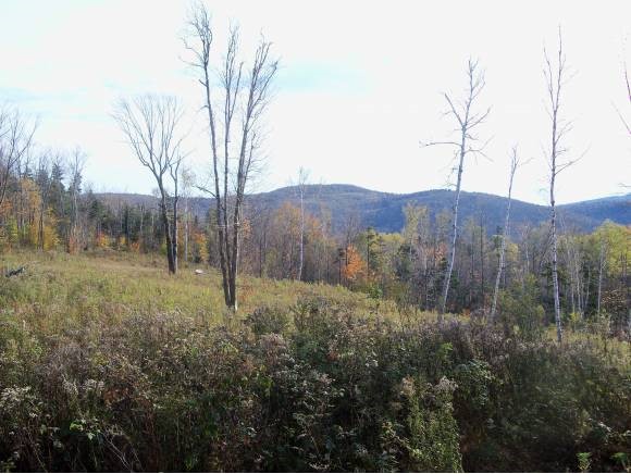 321 Hedgehog Hill Road South Mount Holly, VT 05730 - Photo 2 of 16 Gallery Image 2