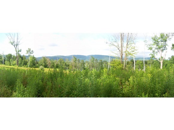 321 Hedgehog Hill Road South Mount Holly, VT 05730 - Photo 11 of 16 Gallery Image 11