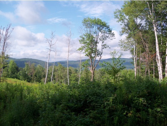 321 Hedgehog Hill Road South Mount Holly, VT 05730 - Photo 13 of 16 Gallery Image 13