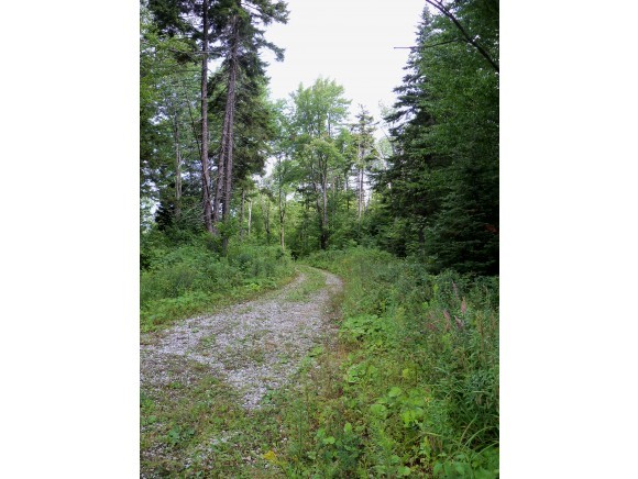 321 Hedgehog Hill Road South Mount Holly, VT 05730 - Photo 14 of 16 Gallery Image 14