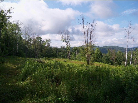 321 Hedgehog Hill Road South Mount Holly, VT 05730 - Photo 15 of 16 Gallery Image 15