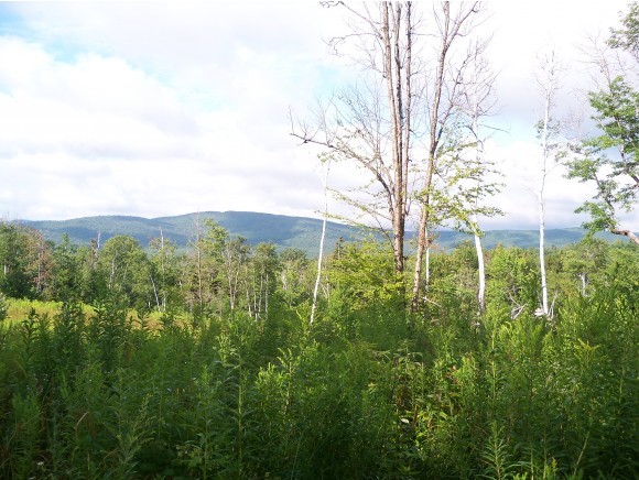 321 Hedgehog Hill Road South Mount Holly, VT 05730 - Photo 16 of 16 Gallery Image 16