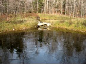 321 Hedgehog Hill Road South Mount Holly, VT 05730 - Photo 5 of 16 Gallery Image 5