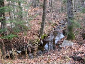 321 Hedgehog Hill Road South Mount Holly, VT 05730 - Photo 6 of 16 Gallery Image 6