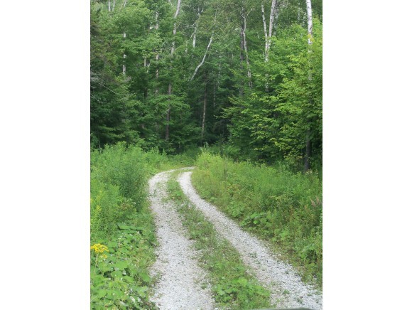 321 Hedgehog Hill Road South Mount Holly, VT 05730 - Photo 7 of 16 Gallery Image 7