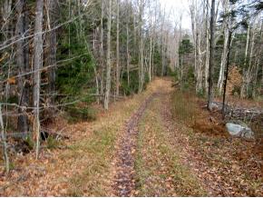 321 Hedgehog Hill Road South Mount Holly, VT 05730 - Photo 8 of 16 Gallery Image 8