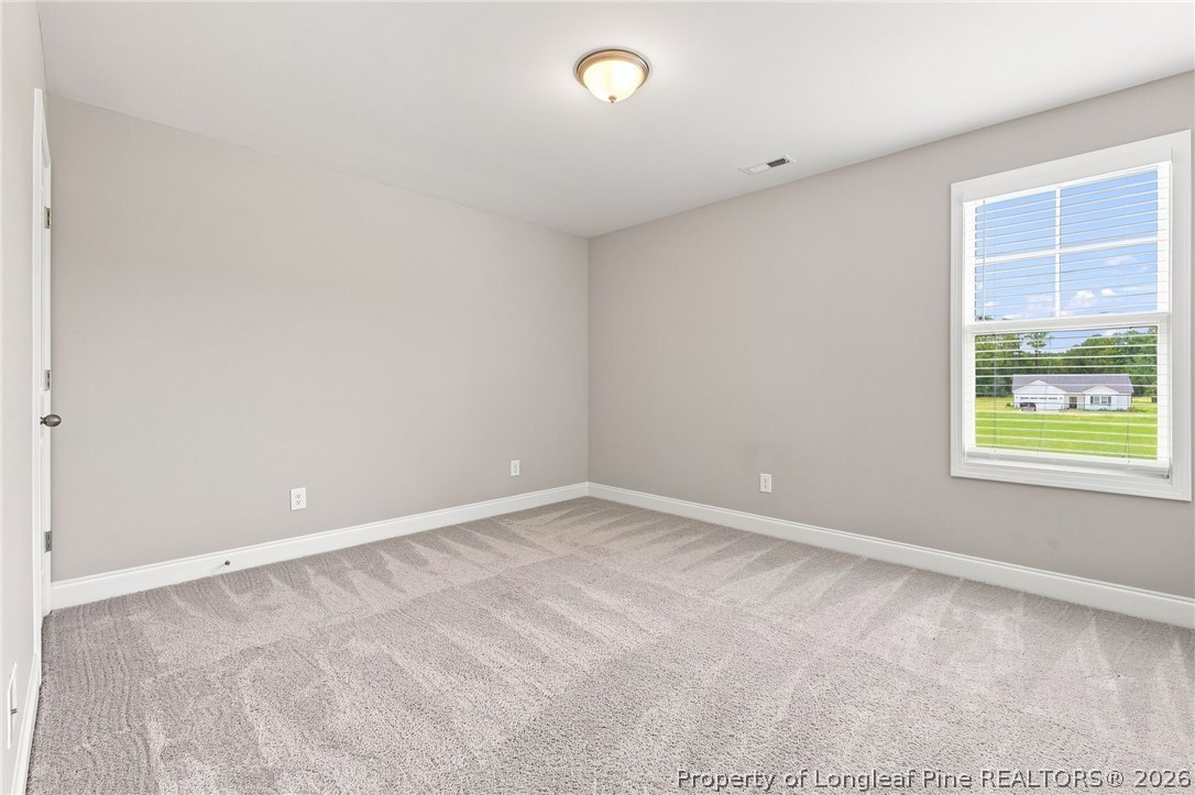 7810 Rufus Johnson Road St. Pauls, NC 28384 - Photo 28 of 43 Gallery Image 28