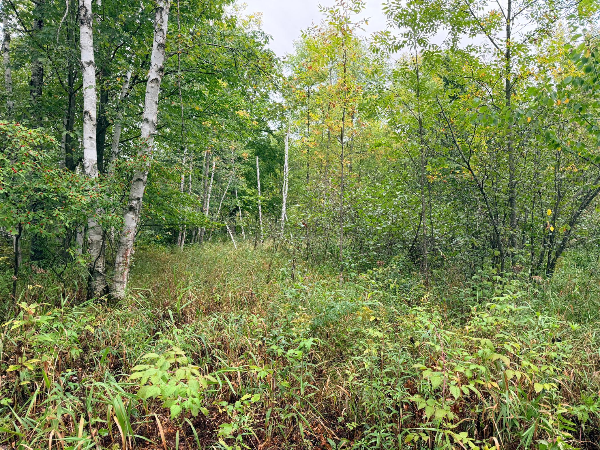 84227 Denham Road Willow River, MN 55795 - Photo 25 of 53 Gallery Image 25