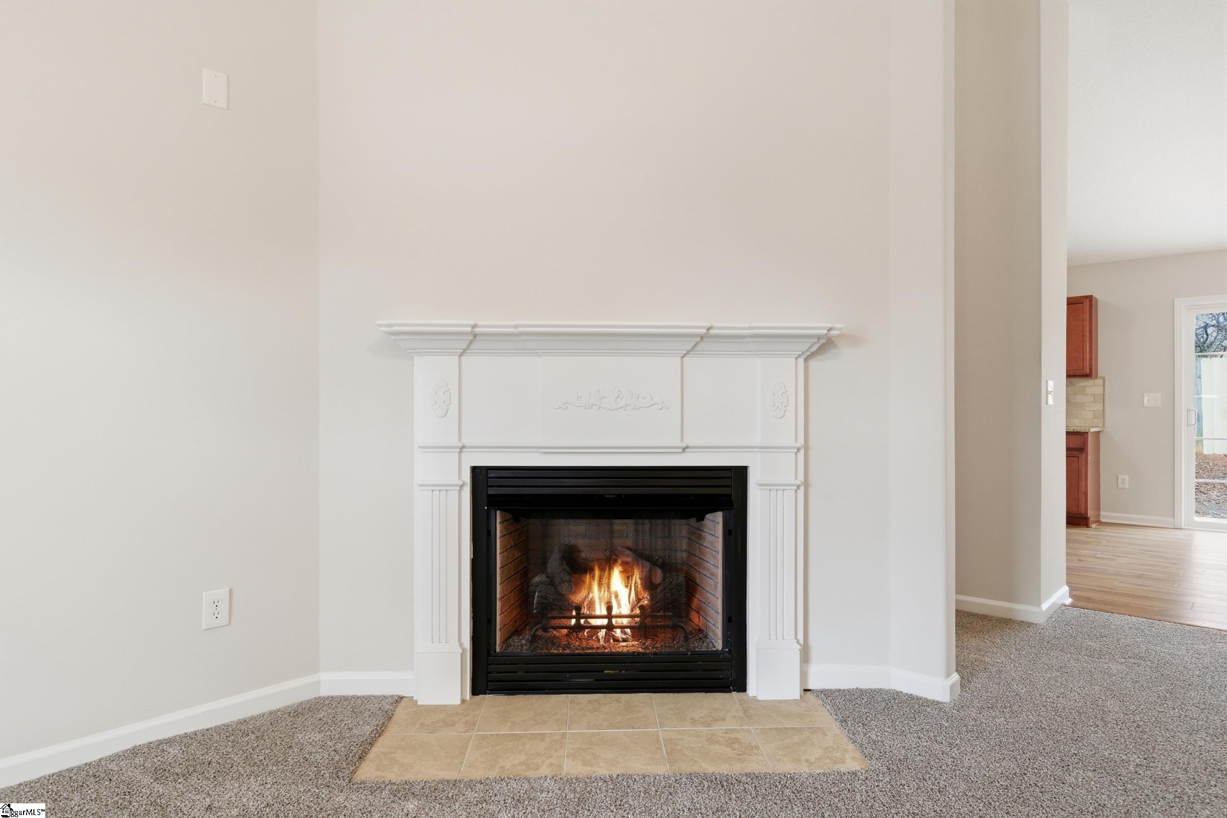 25 Tigris Way Greenville, SC 29607 - Photo 6 of 42