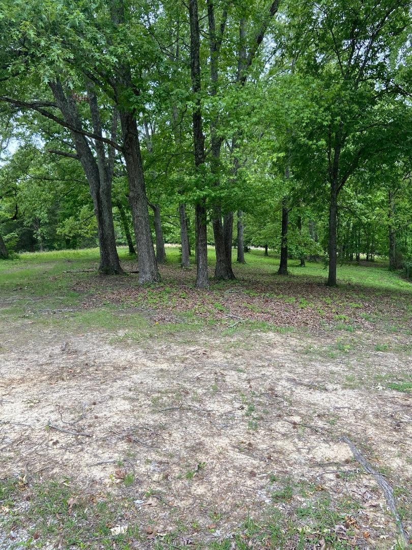 420 Hidden Acres Road Paris, TN 38242 - Photo 29 of 33 Gallery Image 29