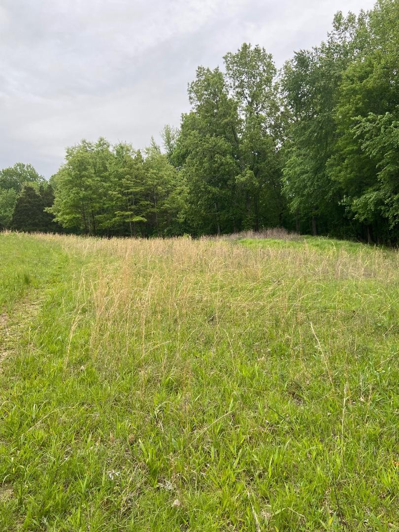 420 Hidden Acres Road Paris, TN 38242 - Photo 30 of 33 Gallery Image 30