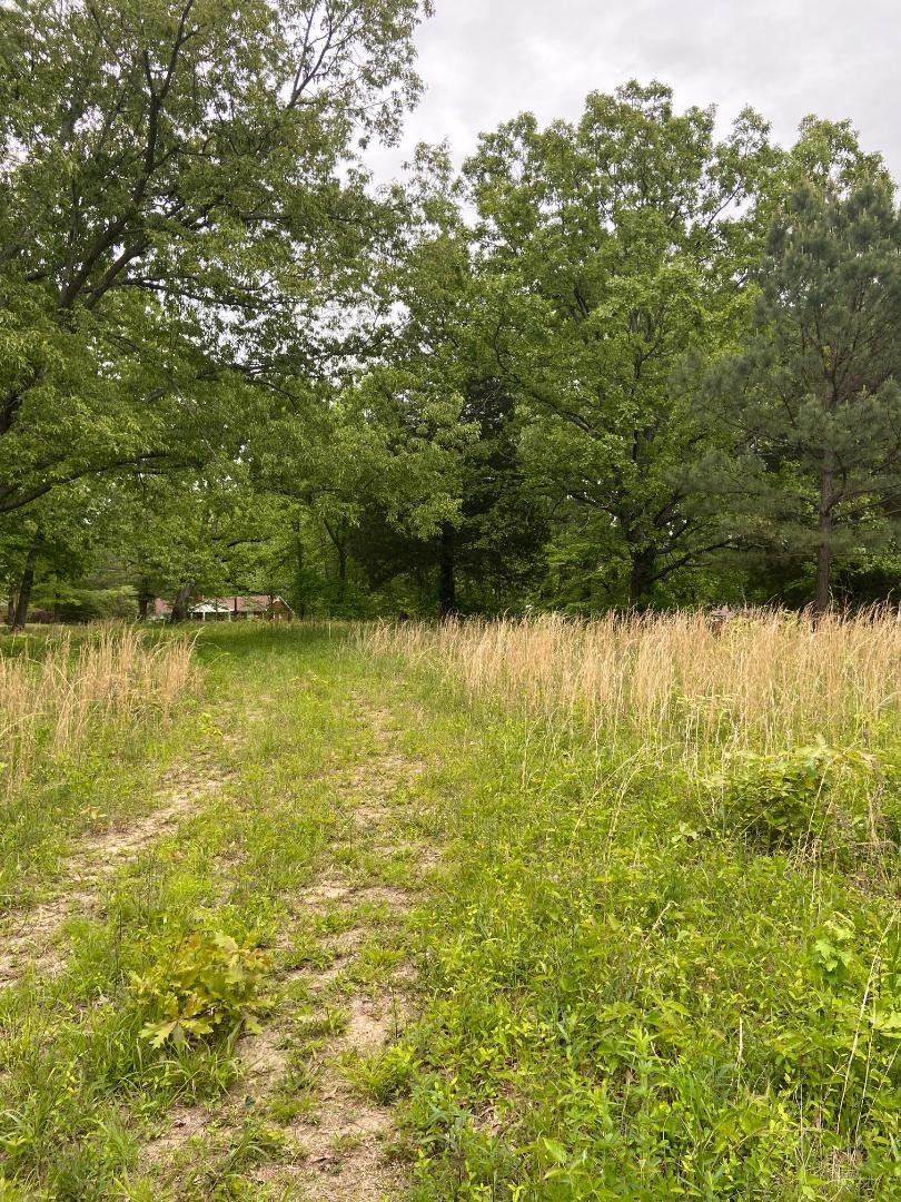 420 Hidden Acres Road Paris, TN 38242 - Photo 31 of 33 Gallery Image 31