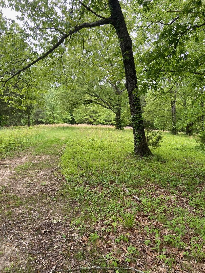 420 Hidden Acres Road Paris, TN 38242 - Photo 32 of 33 Gallery Image 32