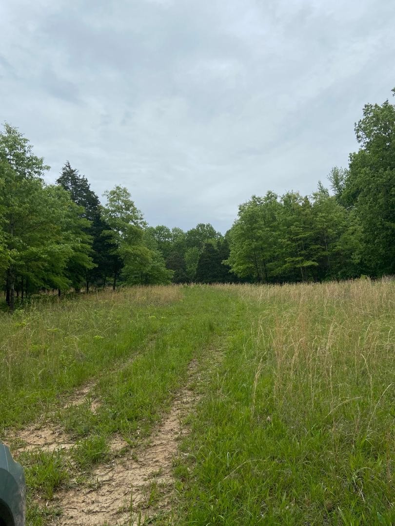 420 Hidden Acres Road Paris, TN 38242 - Photo 33 of 33 Gallery Image 33