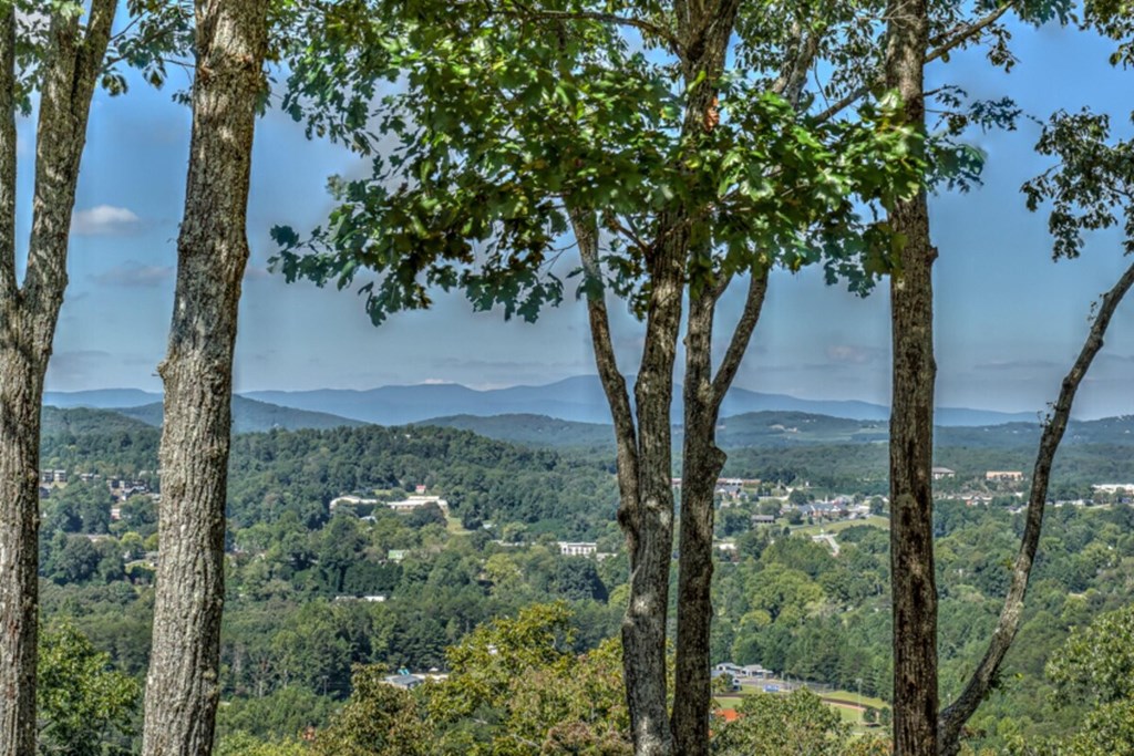 333 Eagles Nest Mountain Road Blue Ridge, GA 30513 - Photo 3 of 47