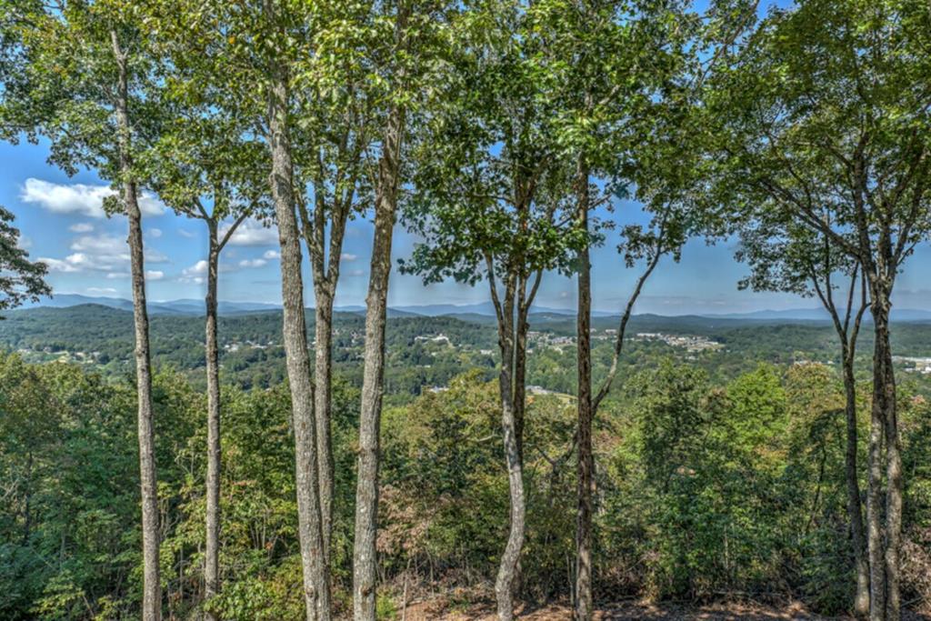 333 Eagles Nest Mountain Road Blue Ridge, GA 30513 - Photo 6 of 47