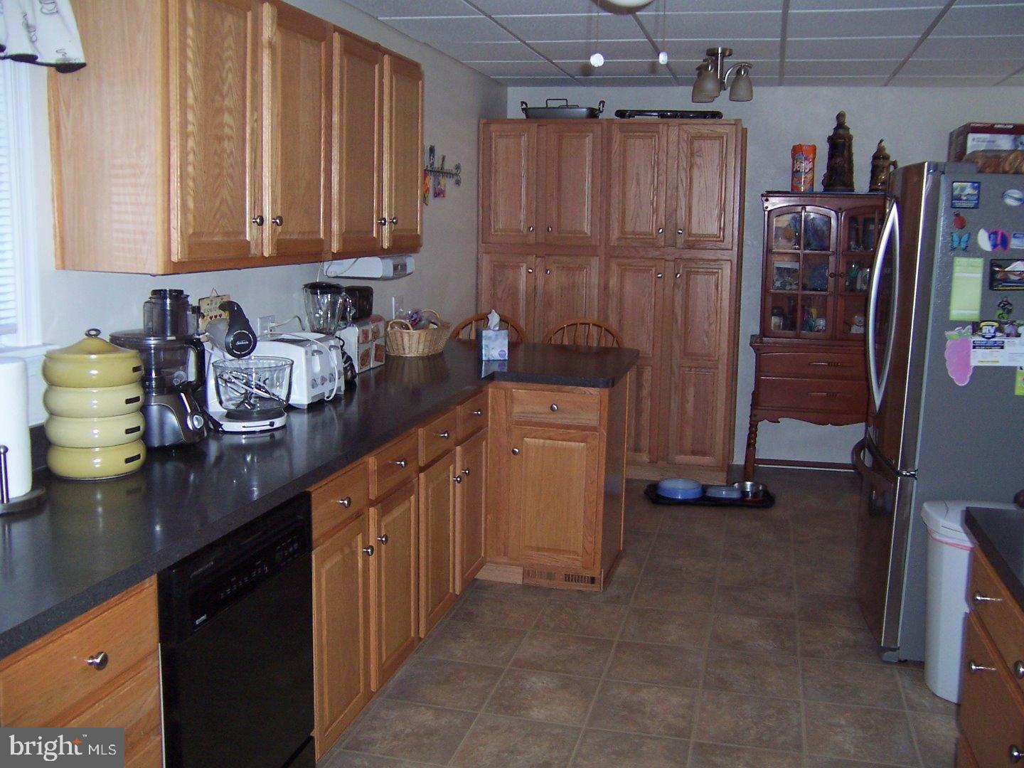 219 Washington Street Spring City, PA 19475 - Photo 4 of 19 Gallery Image 4