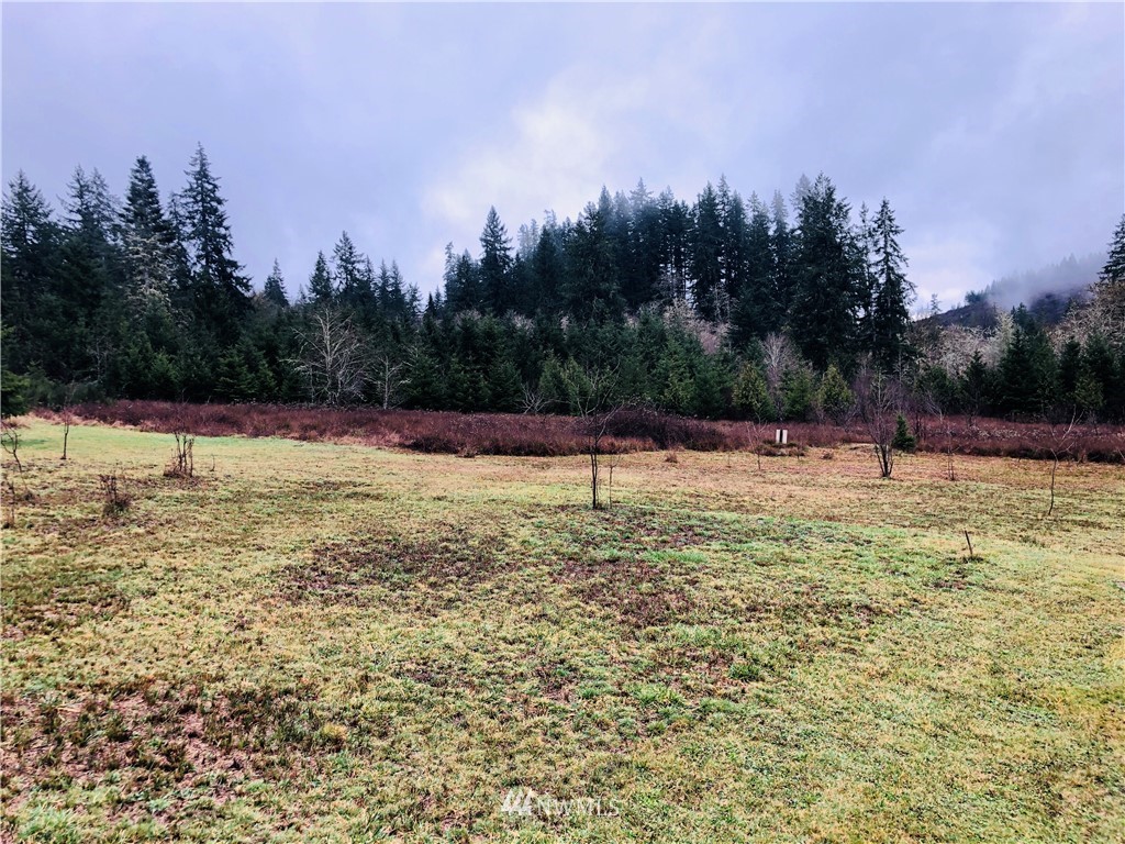 4868 Rose Valley Road Kelso, WA 98626 - Photo 1 of 11 Gallery Image 1